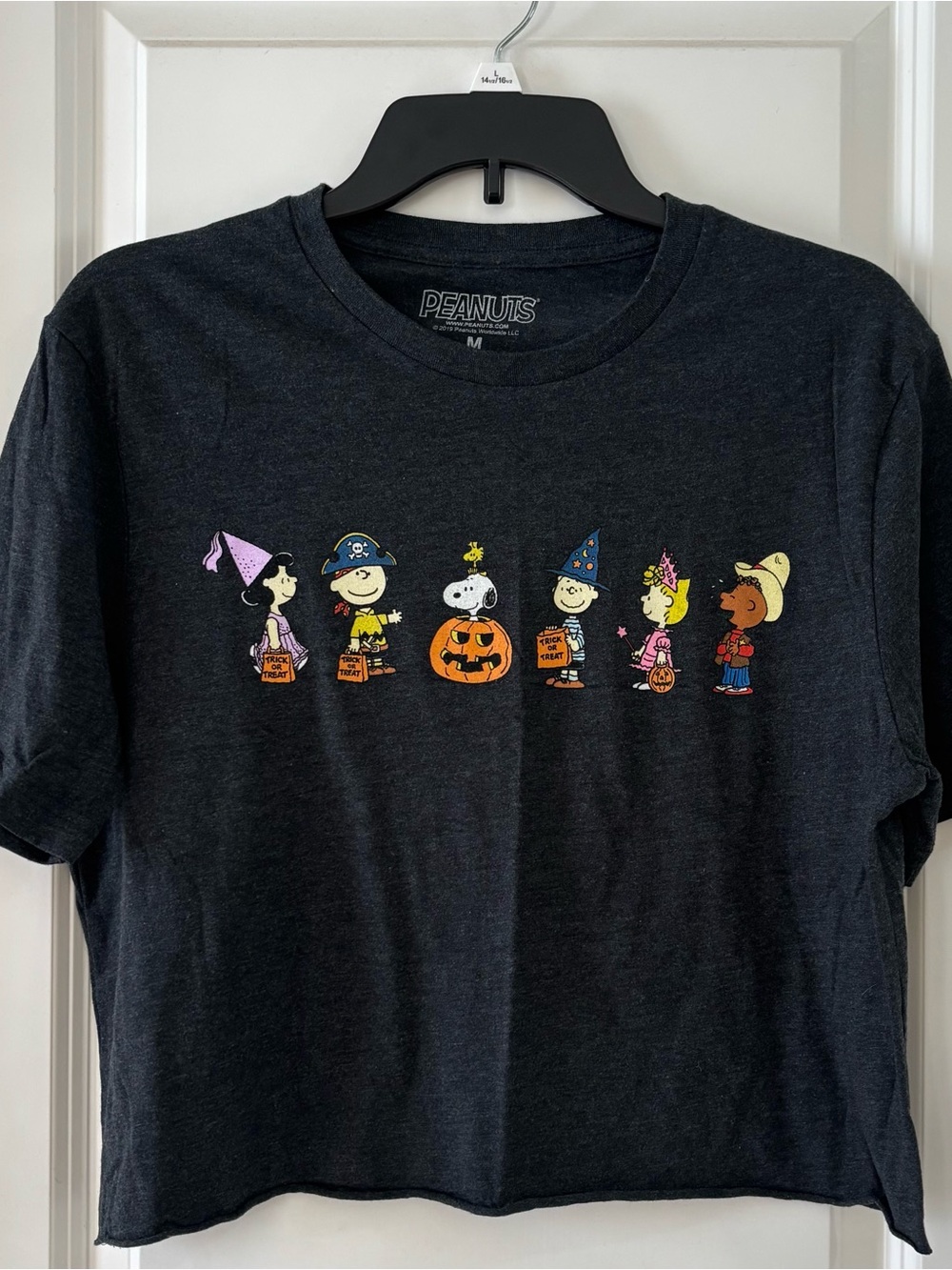 Peanuts Black Halloween Crop T-Shirt Medium